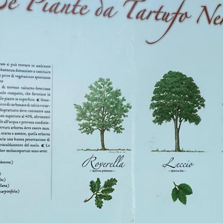 Eco House Roero Cottage Alba  Bagian luar foto