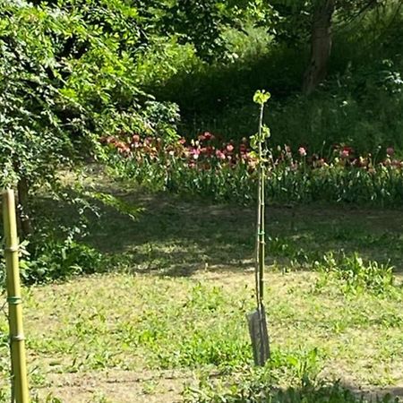 Eco House Roero Cottage Alba  Bagian luar foto